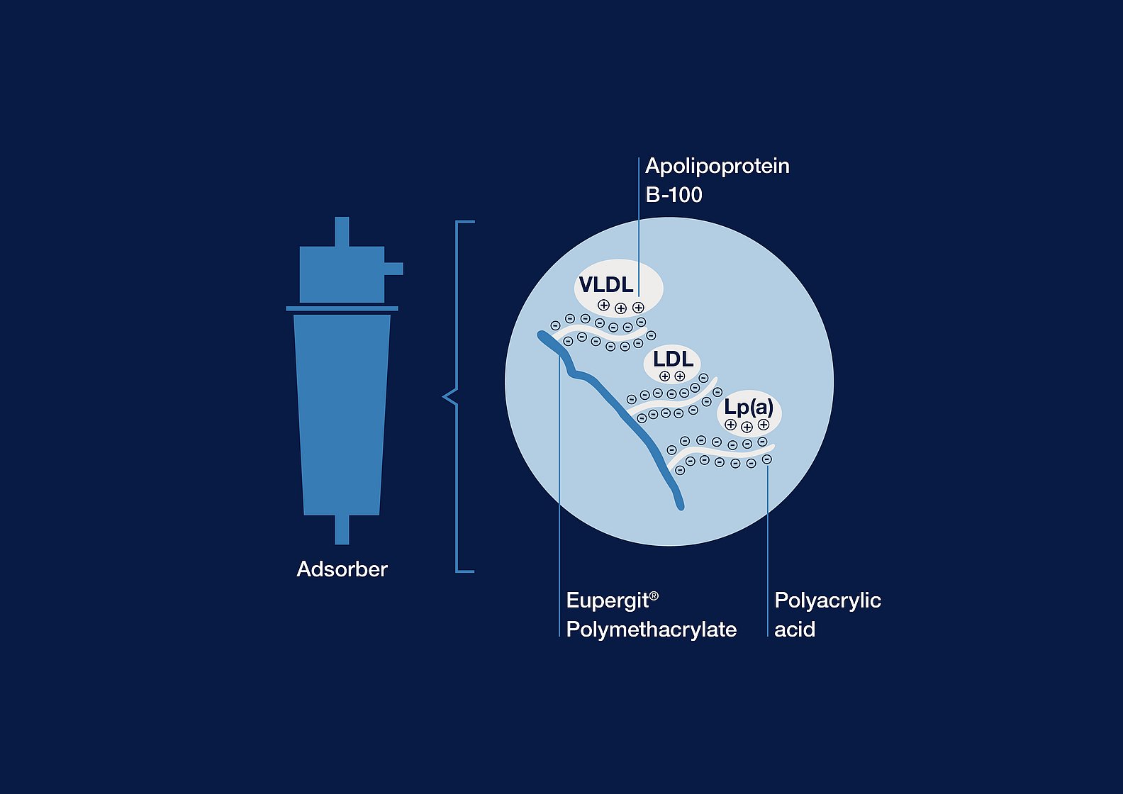 Afereza lipoproteinelor_DALI