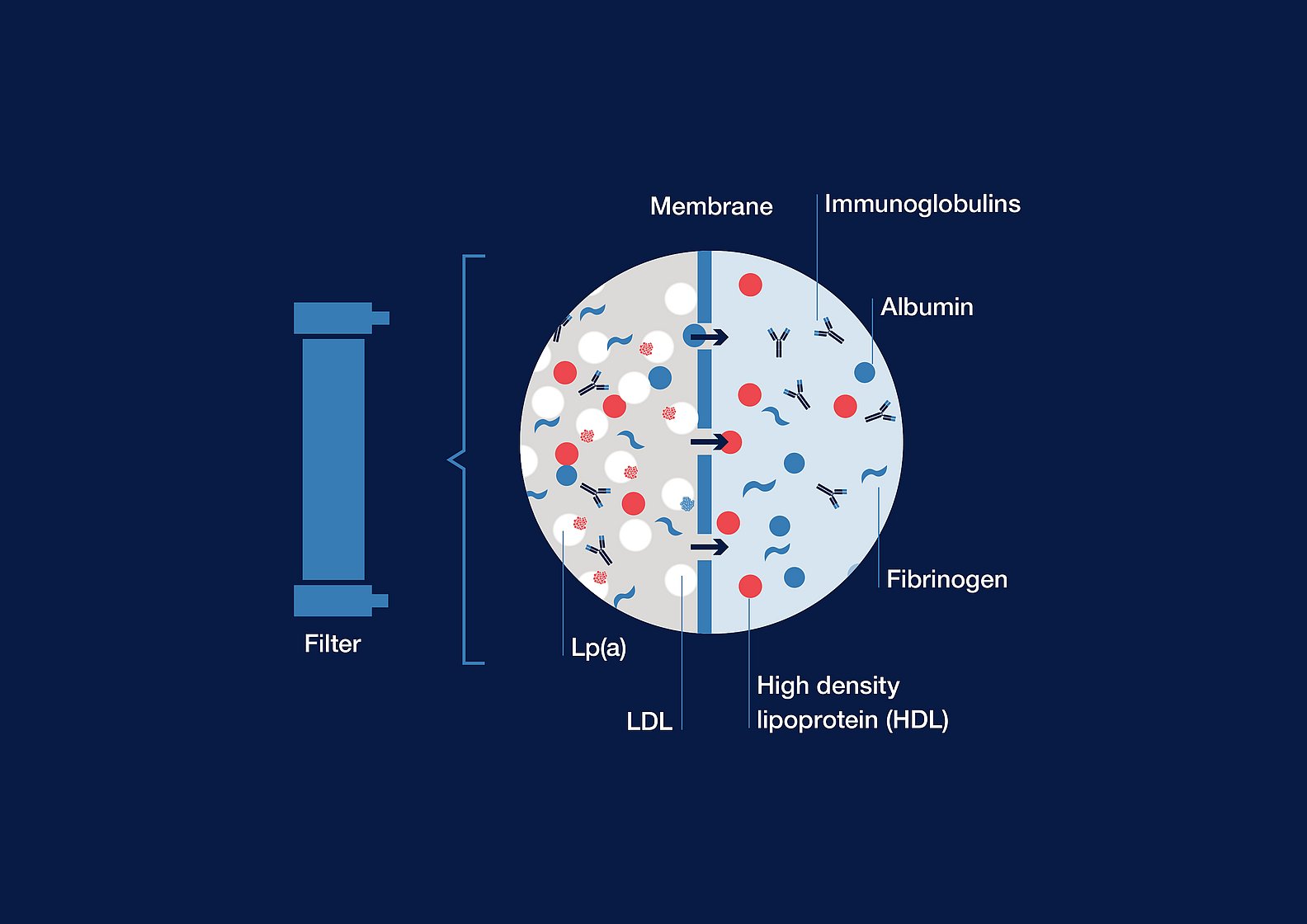 Afereza lipoproteinelor_MONET